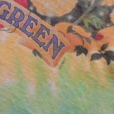 画像8: 90's LIQUID BLUE TIE-DYE COTTON "GRATEFUL DEAD" W-PRINT S/S BAND TEE "KEEP IT GREEN" (8)