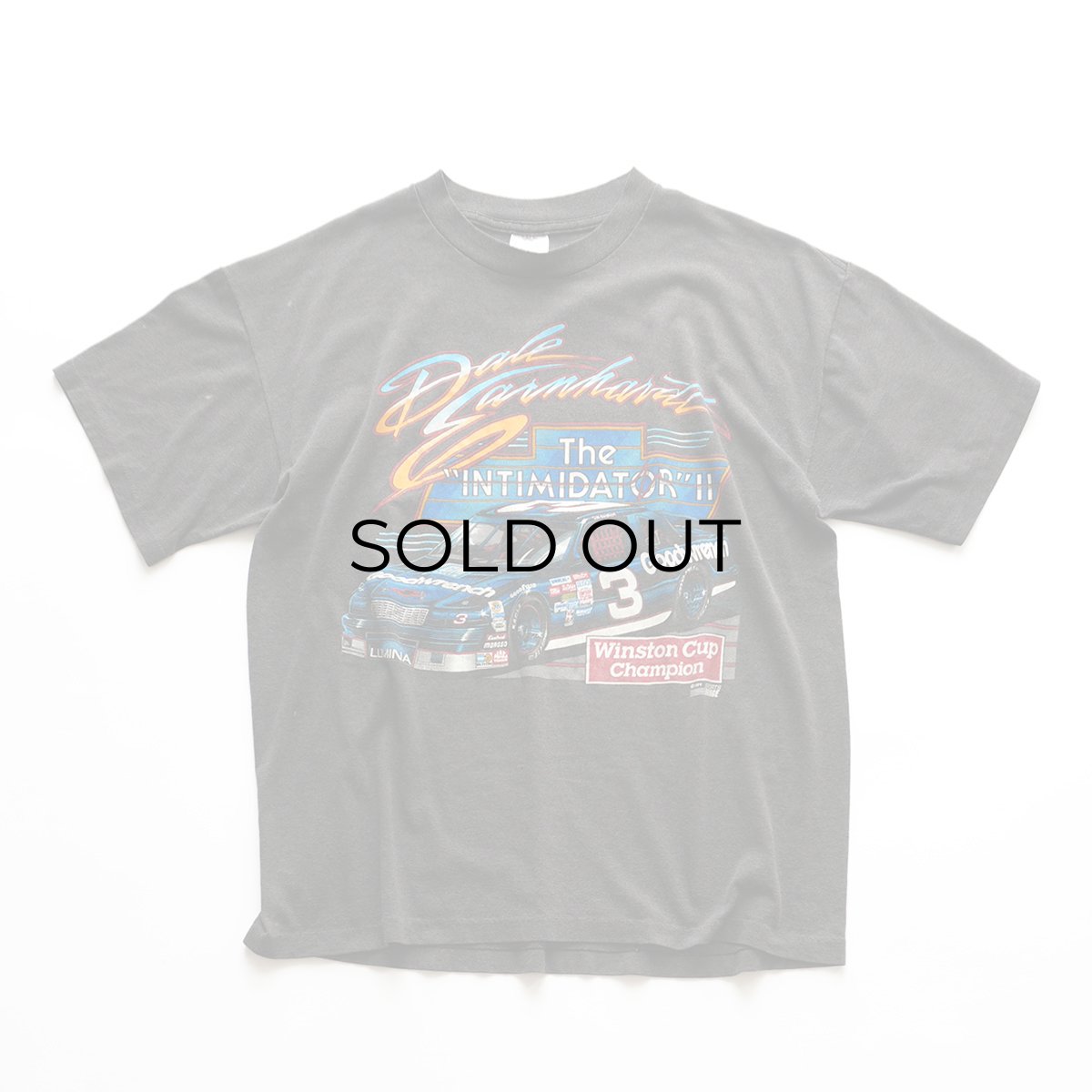 画像2: 80's RP sportswear W-PRINT S/S TEE "The Intimidator II Tour '89" "MADE IN USA" (2)