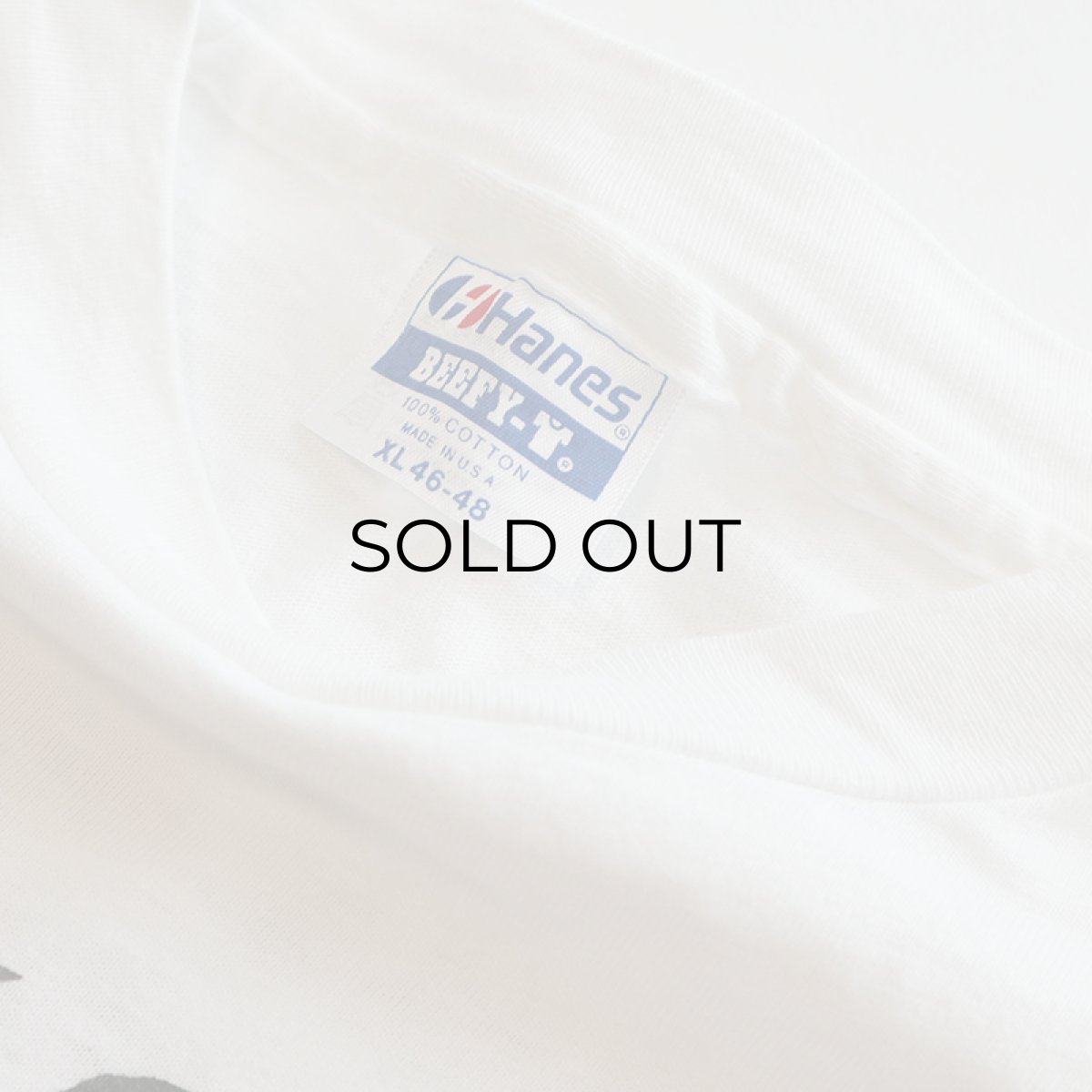 画像4: 〜90's Hanes COTTON W-PRINT S/S TEE "RACE of Champions" (4)