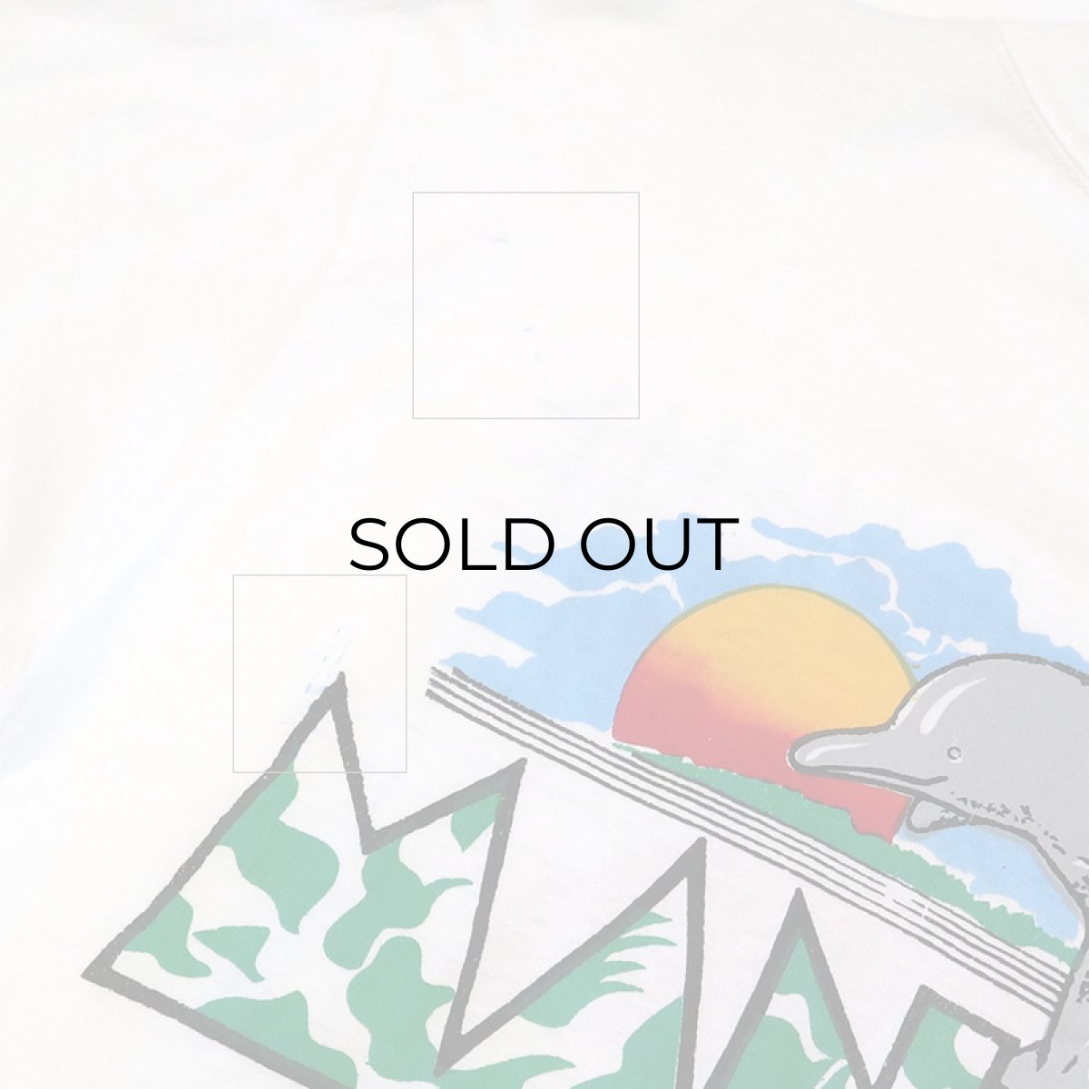 画像8: 〜80's Hering COTTON W-PRINT S/S TEE "Manaus" (8)