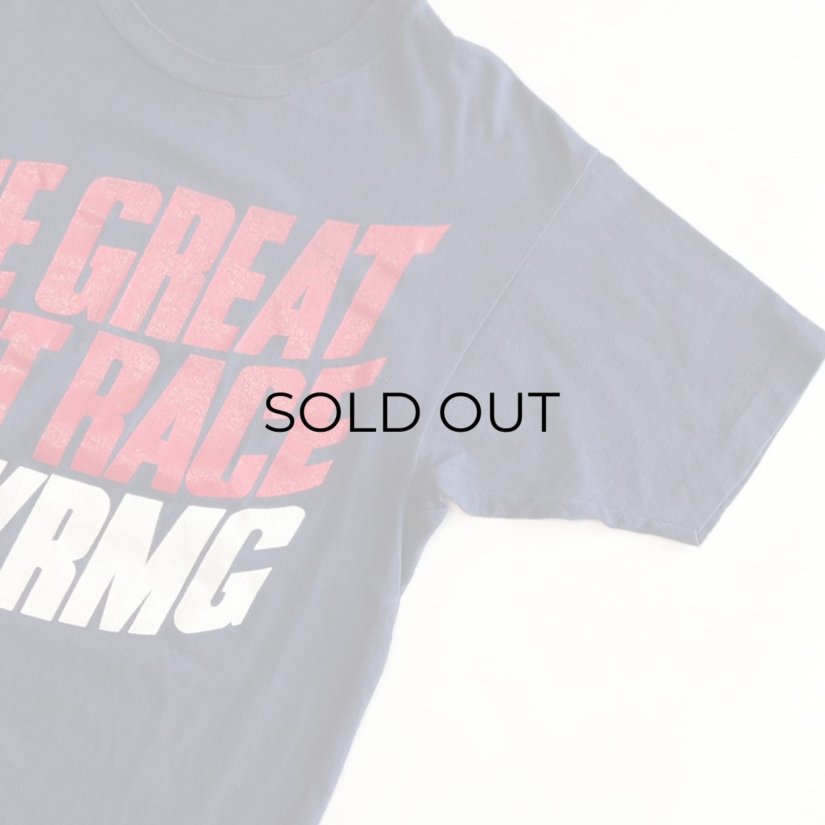 画像4: 70's Champion COTTON PRINT S/S TEE "THE GREAT RAFT RACE FIVE KRMG" (4)