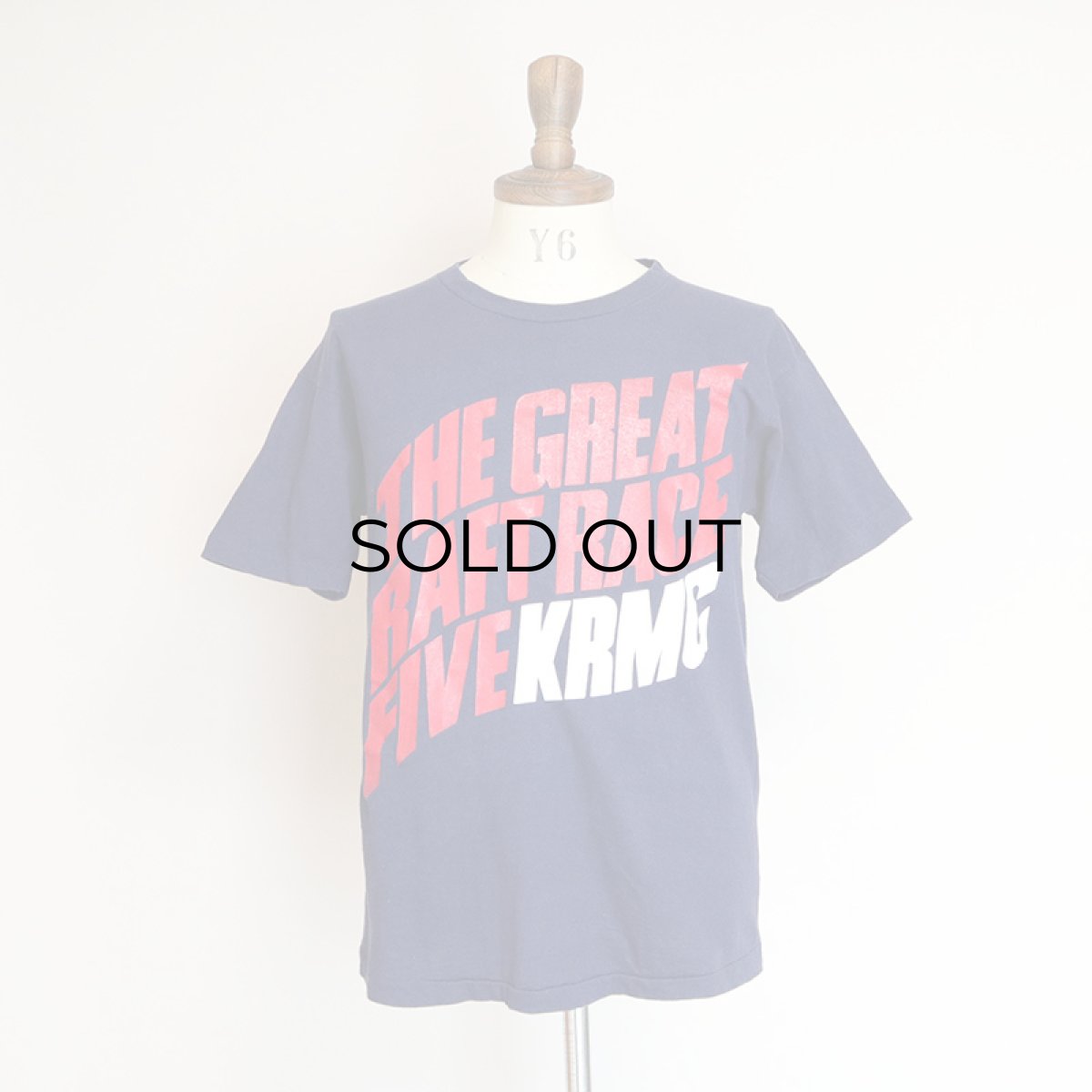 画像8: 70's Champion COTTON PRINT S/S TEE "THE GREAT RAFT RACE FIVE KRMG" (8)