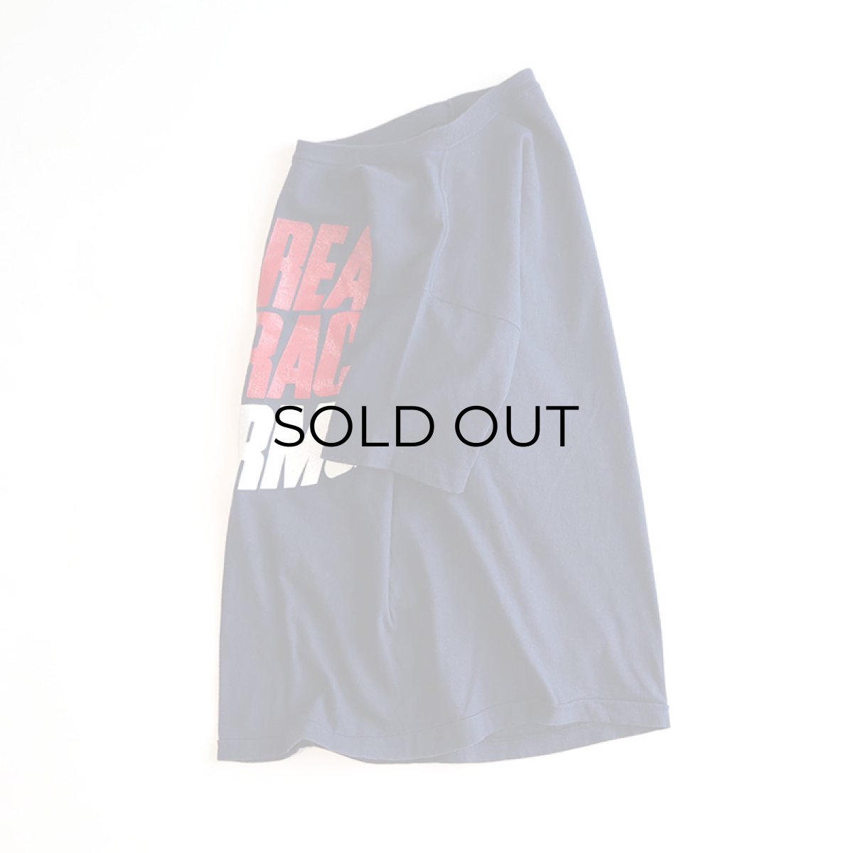 画像2: 70's Champion COTTON PRINT S/S TEE "THE GREAT RAFT RACE FIVE KRMG" (2)