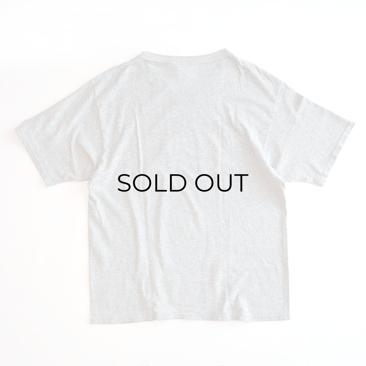 画像3: Champion COTTON POLYESTER PRINT S/S TEE "COLGATE" (3)