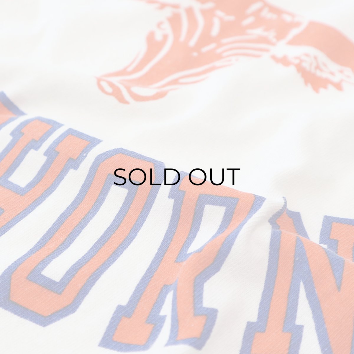 画像4: OLD UNKNOWN BRAND COTTON PRINT S/S TEE "CAMP LONGHORN" (4)