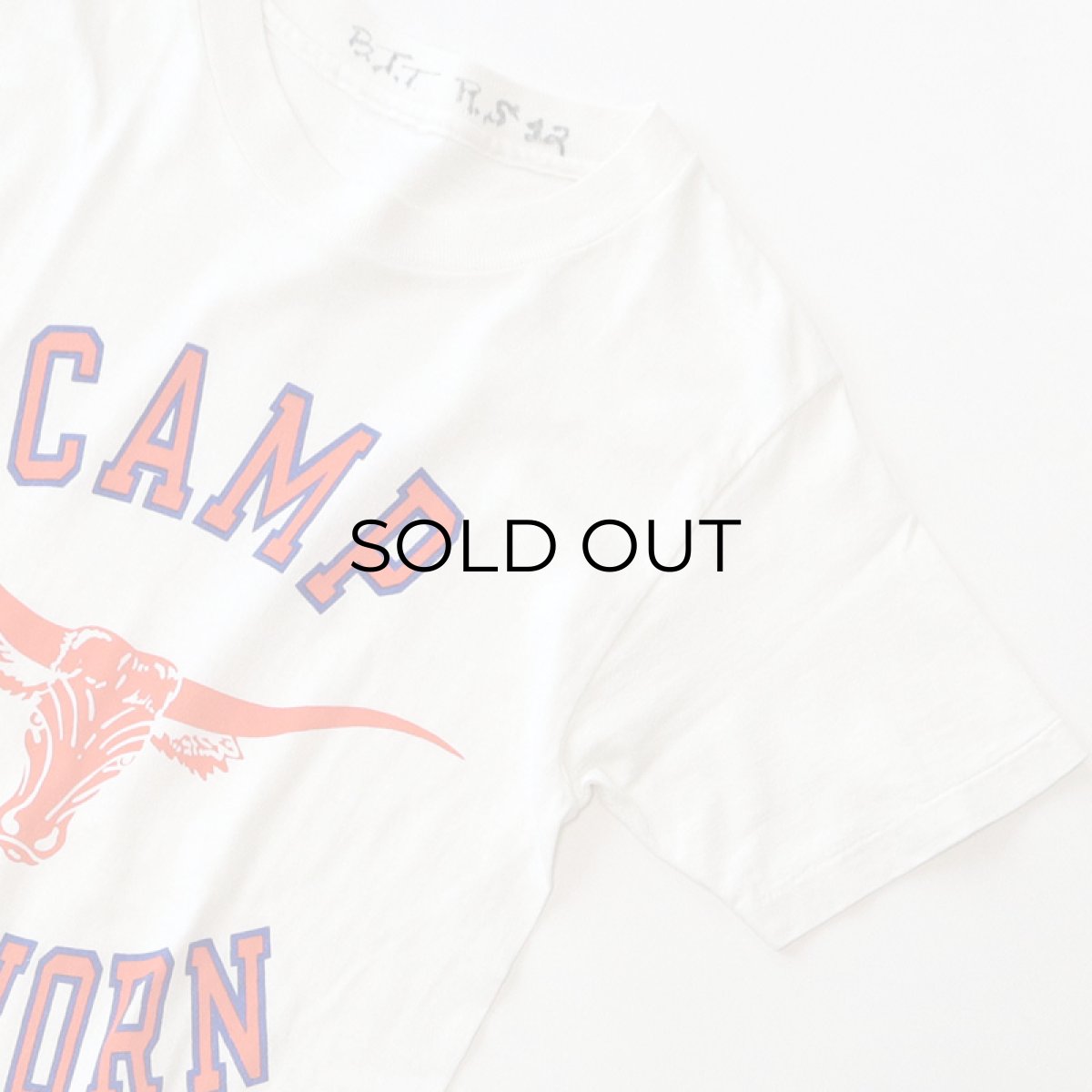 画像3: OLD UNKNOWN BRAND COTTON PRINT S/S TEE "CAMP LONGHORN" (3)