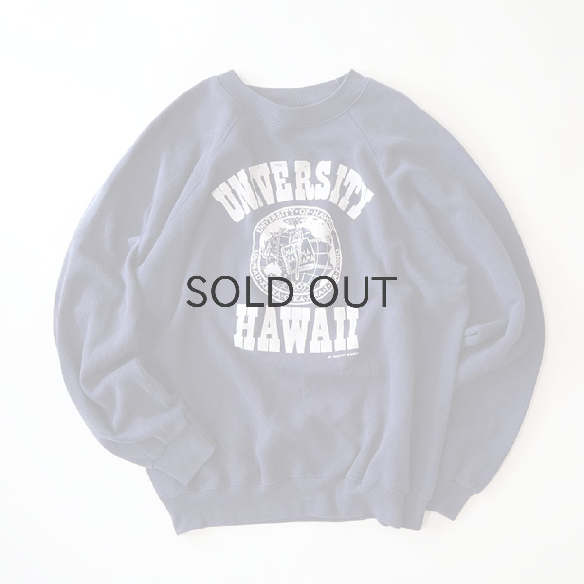 画像1: 80's Hanes PRINT CREW NECK SWEAT "UNIVERSITY OF HAWAII" (1)