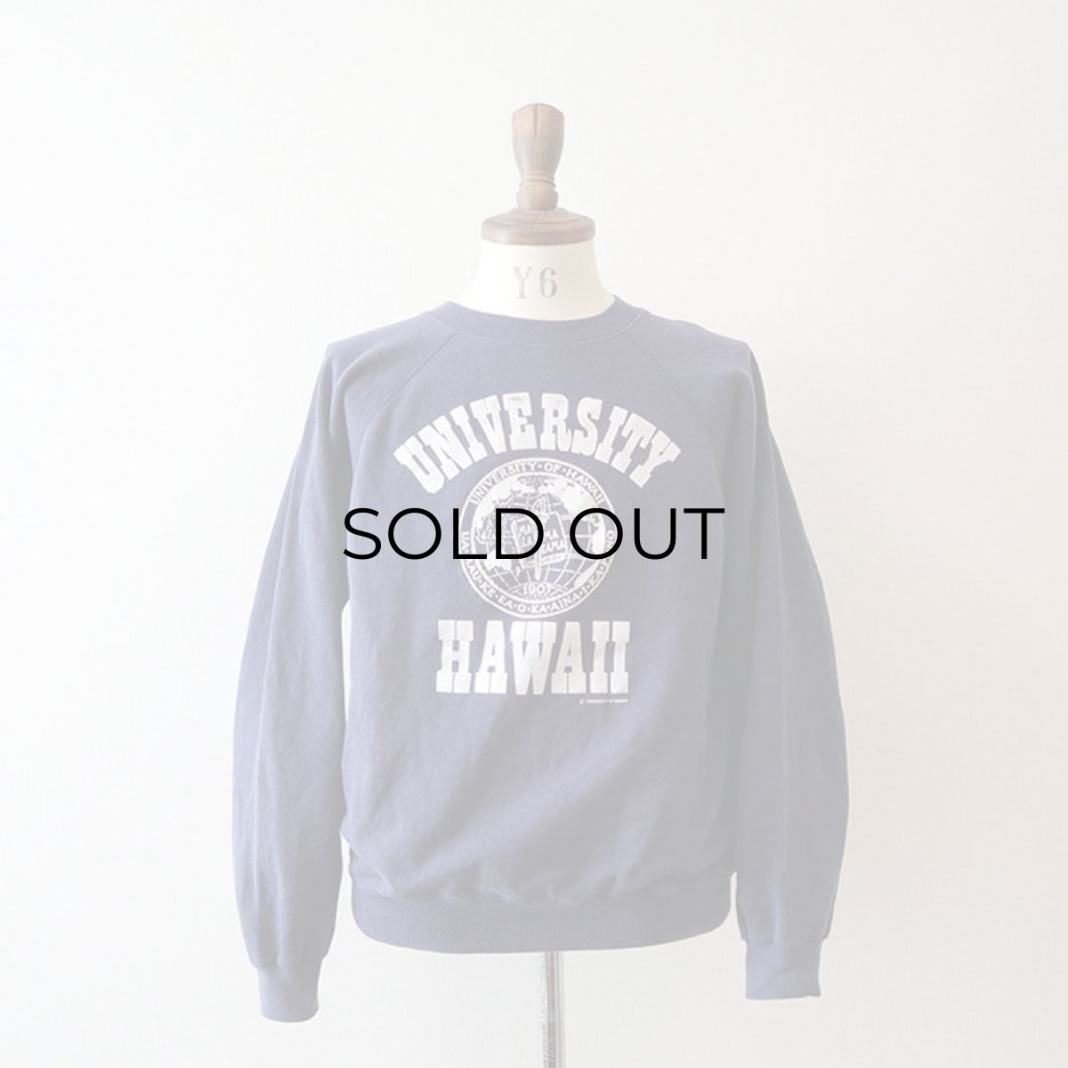 画像10: 80's Hanes PRINT CREW NECK SWEAT "UNIVERSITY OF HAWAII" (10)