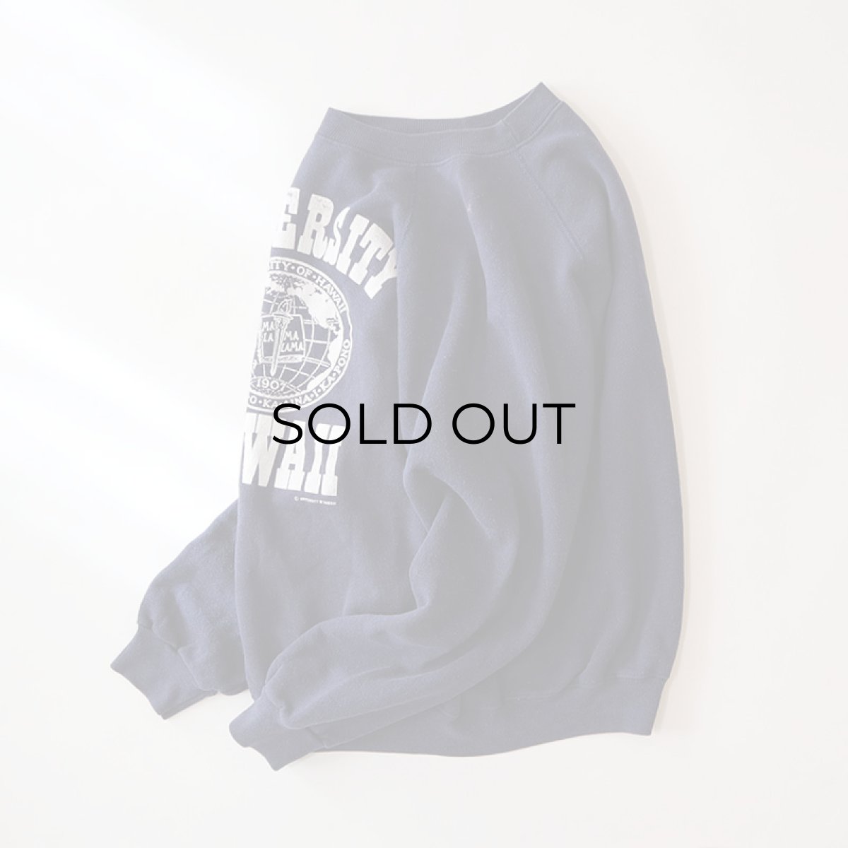画像2: 80's Hanes PRINT CREW NECK SWEAT "UNIVERSITY OF HAWAII" (2)