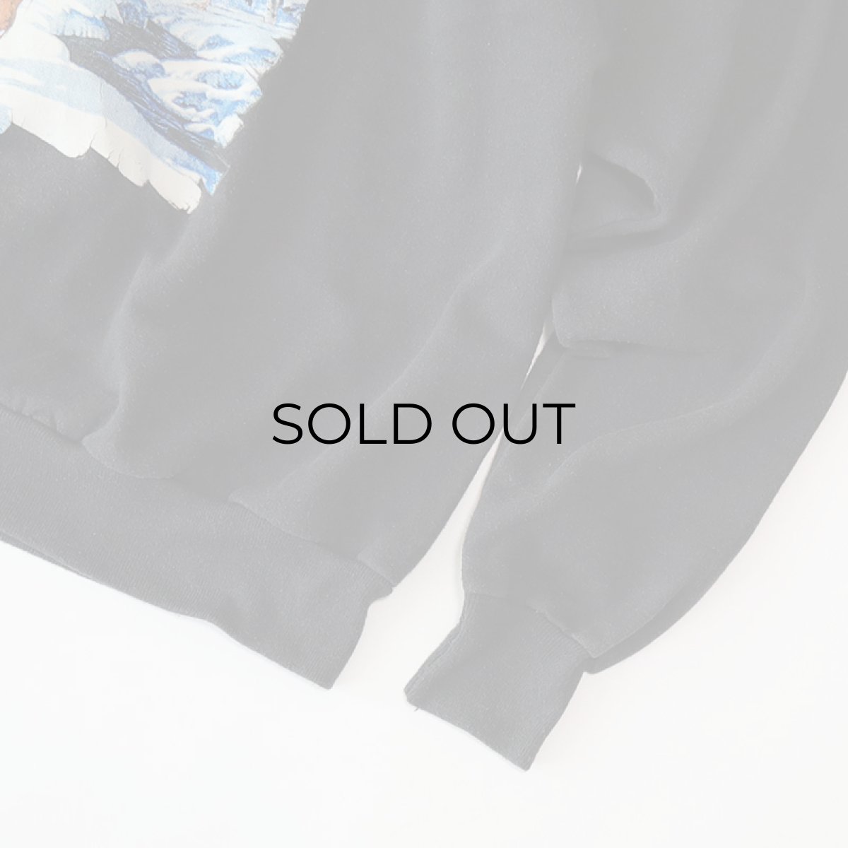 画像4: 90's Hanes PRINT CREW NECK SWEAT "INDIAN" (4)