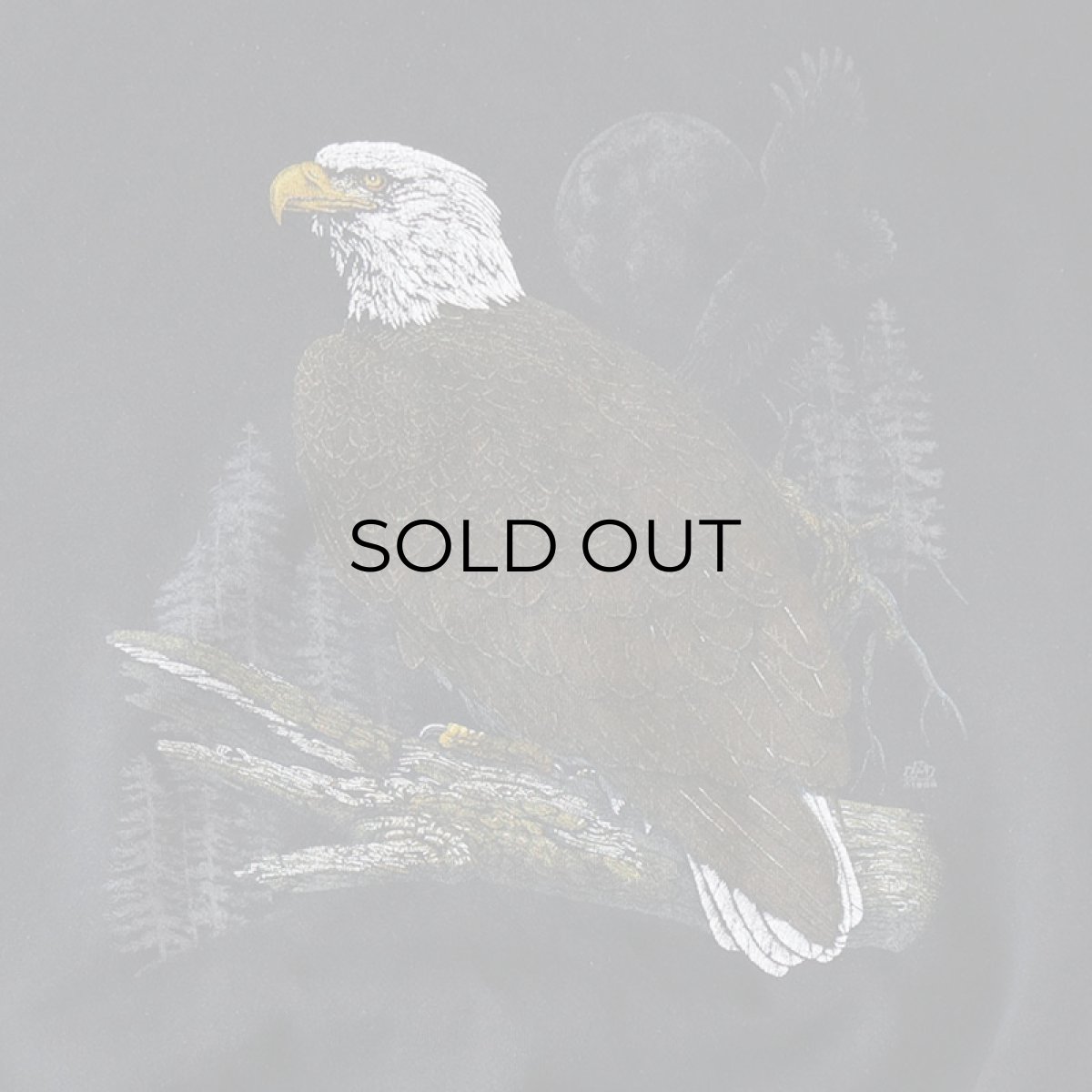 画像5: 90's TULTEX PRINT CREW NECK SWEAT "EAGLE" (5)