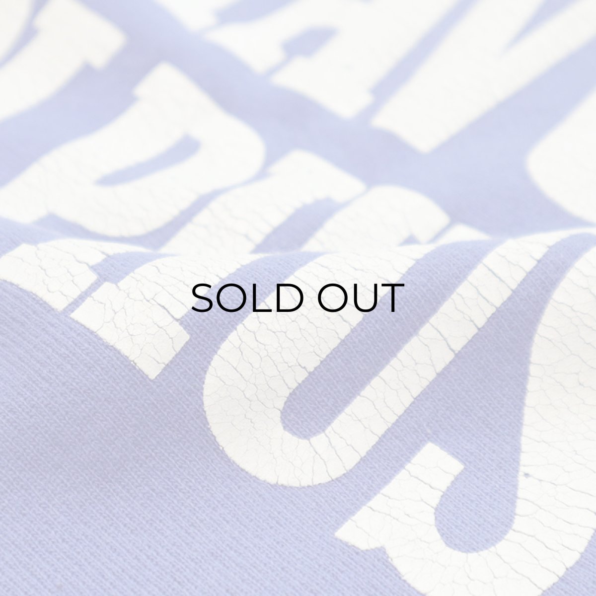 画像4: 90's Champion REVERSE WEAVE PRINT CREW NECK SWEAT "GUSTAVUS ADOLPHUS" (4)