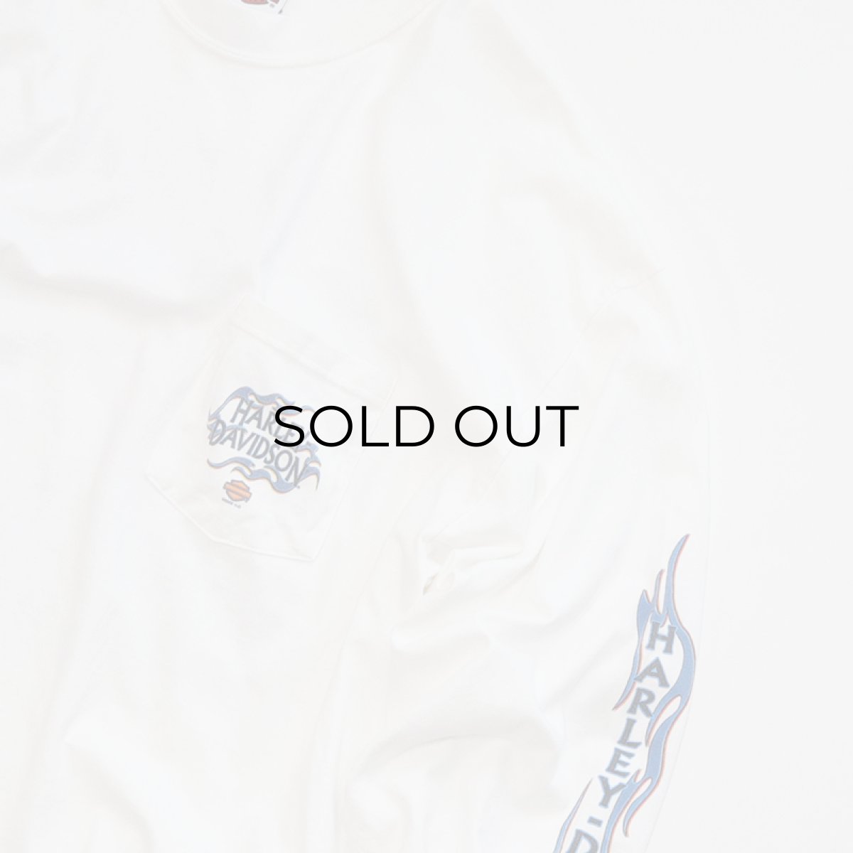 画像3: HARLEY-DAVIDSON COTTON W-PRINT L/S POCKET TEE "MYRTLE BEACH" (3)