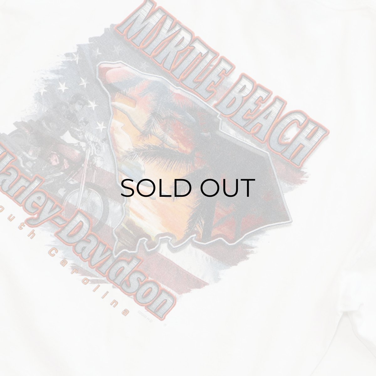 画像7: HARLEY-DAVIDSON COTTON W-PRINT L/S POCKET TEE "MYRTLE BEACH" (7)