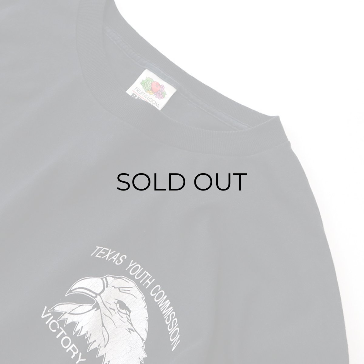 画像5: FRUIT OF THE LOOM PRINT L/S TEE "TEXAS YOUTH COMMISSION" (5)