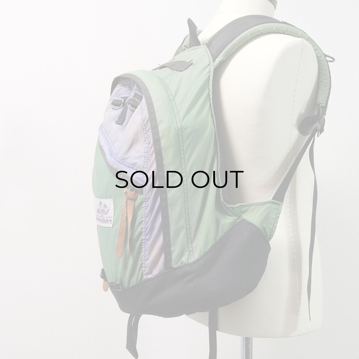 画像14: 90's GREGORY "DAY PACK" NYLON BACKPACK "PURPLE TAG" (14)