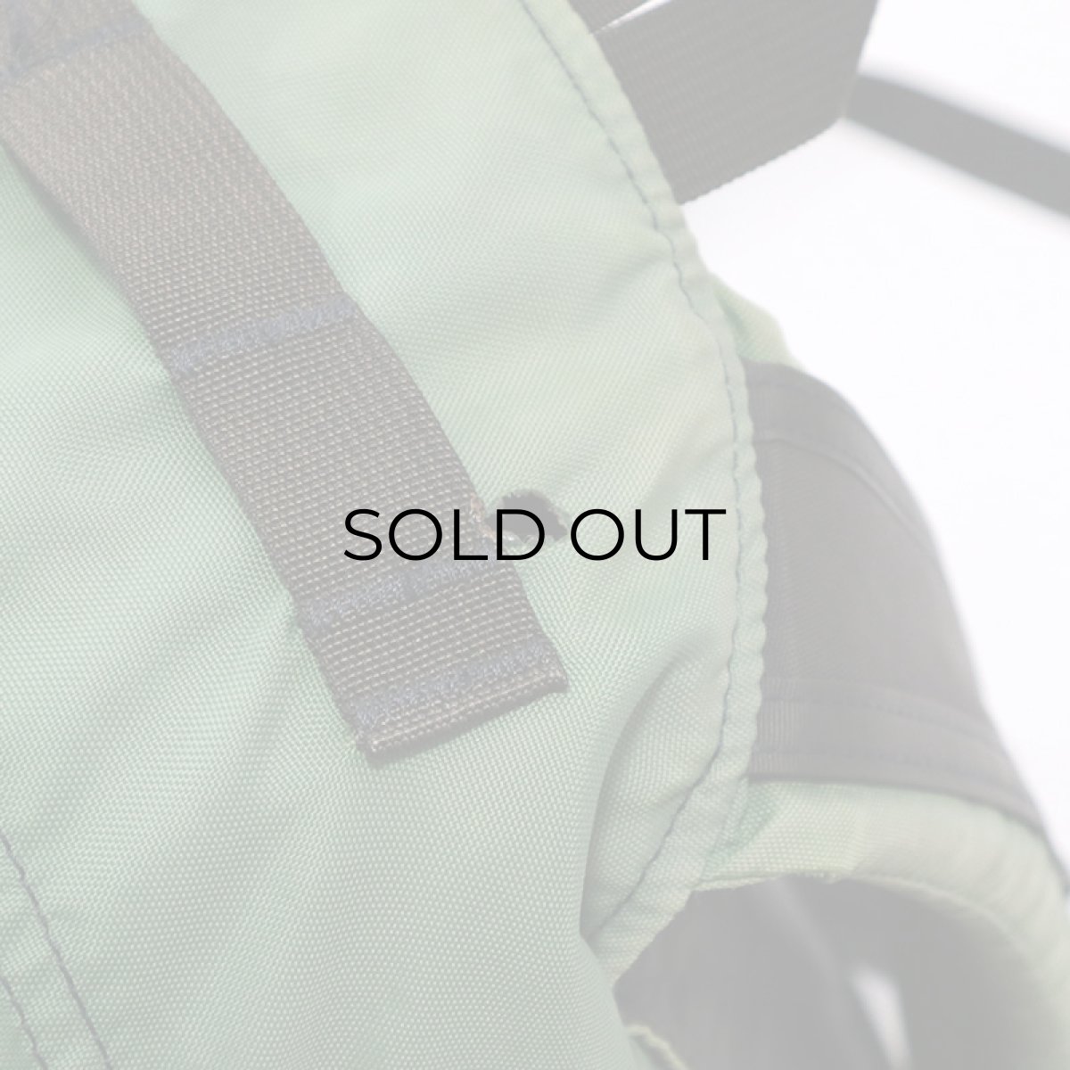 画像12: 90's GREGORY "DAY PACK" NYLON BACKPACK "PURPLE TAG" (12)