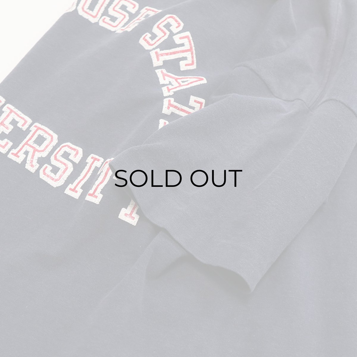画像5: 70's Champion COTTON PRINT S/S TEE "SAN JOSE STATE UNIVERSTY" (5)