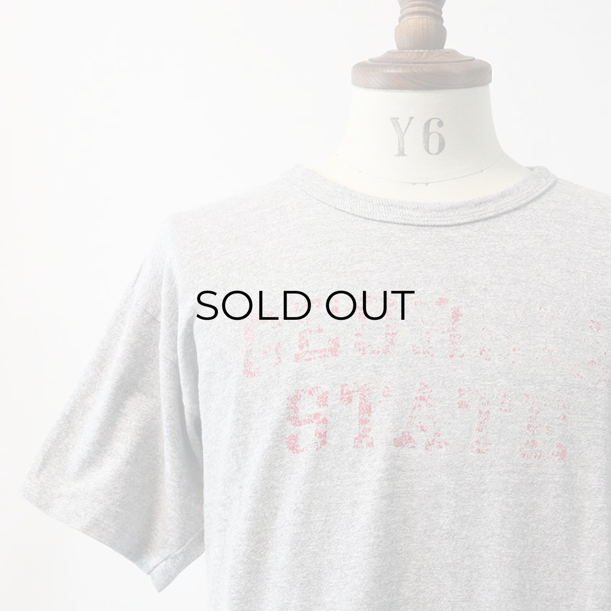 画像9: 80's Champion COTTON RAYON PRINT S/S TEE "GEORGIA STATE" (9)