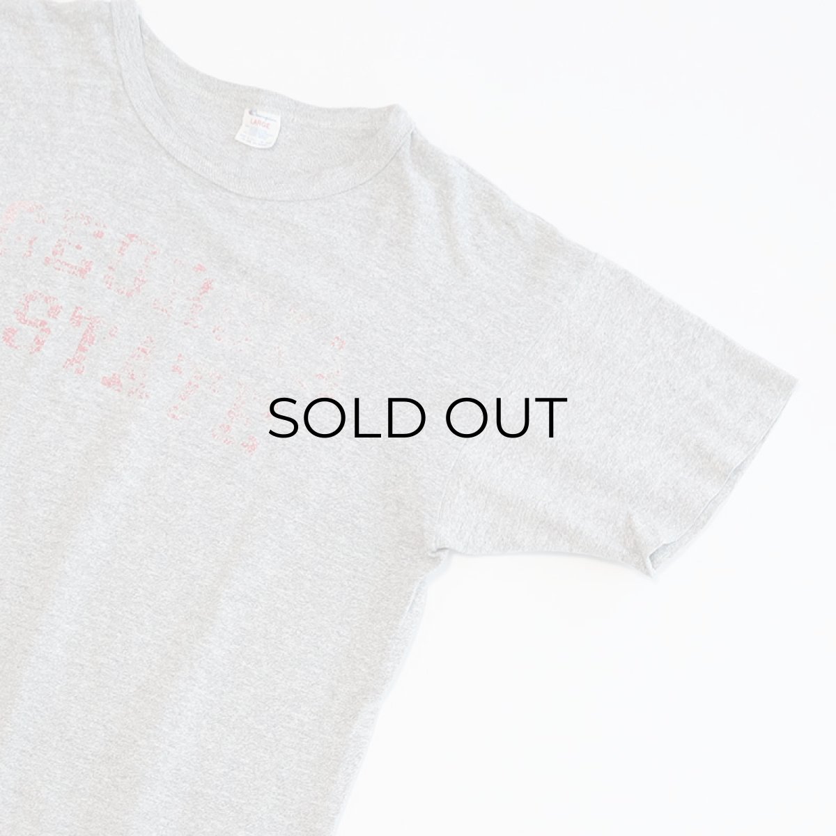 画像4: 80's Champion COTTON RAYON PRINT S/S TEE "GEORGIA STATE" (4)