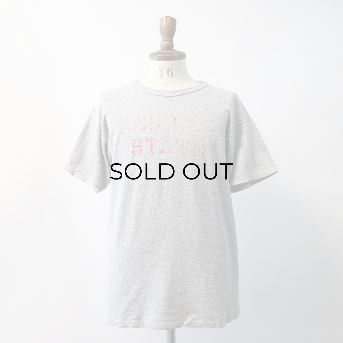 画像13: 80's Champion COTTON RAYON PRINT S/S TEE "GEORGIA STATE" (13)