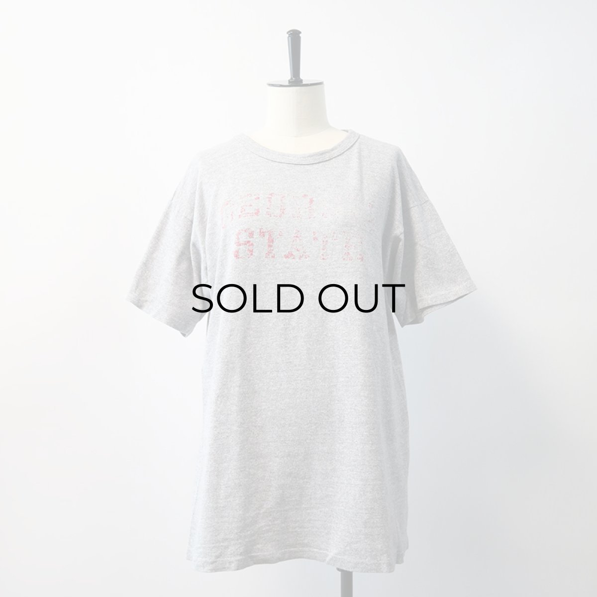 画像10: 80's Champion COTTON RAYON PRINT S/S TEE "GEORGIA STATE" (10)