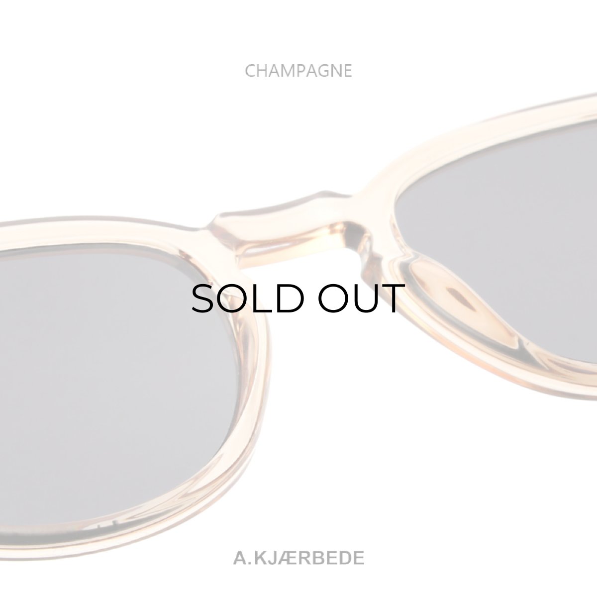 画像12: 【NEW】A.kjaerbede "BATE" SUNGLASSES (12)